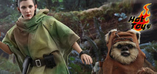 HTսEP6櫹&Wicket